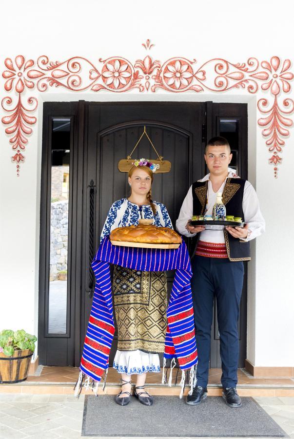 Отель Conacu' Boierului Ponoarele  Экстерьер фото